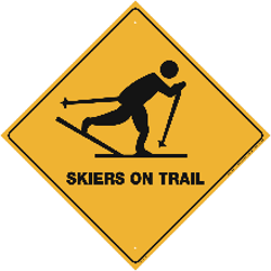 Skier on Trail